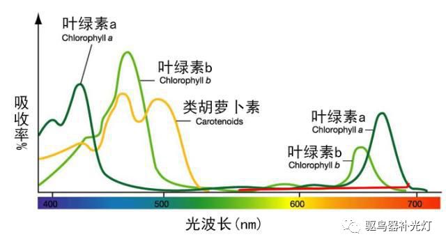 1609829942435841.jpg 640 (3).jpg
