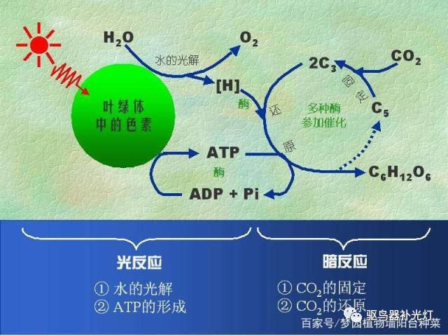 1609830295941416.jpg 640 (2).jpg