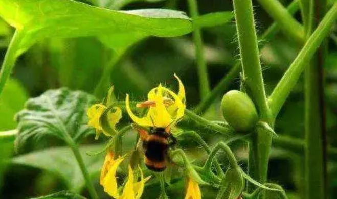 1609928984335611.png 737867e303c7831b50decd50fb5fbbf.png