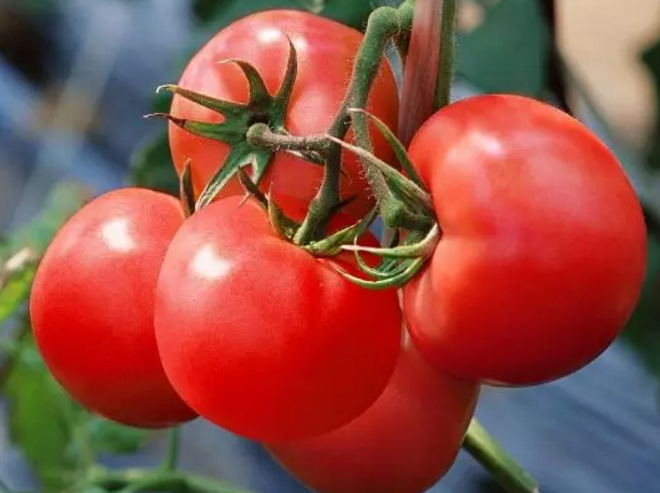 1610006409205812.png 24fb7df08c234917ee78d1561ce34cd.png