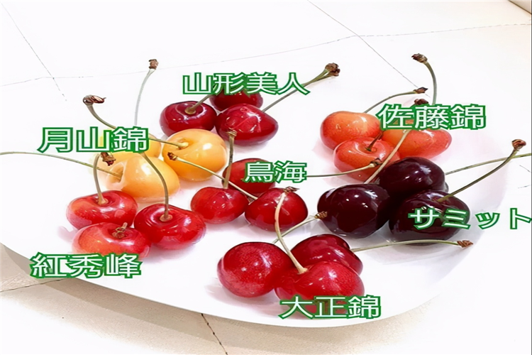 1610607621158649.png 7325700d3fbf02eec503dad435f6574_副本.png