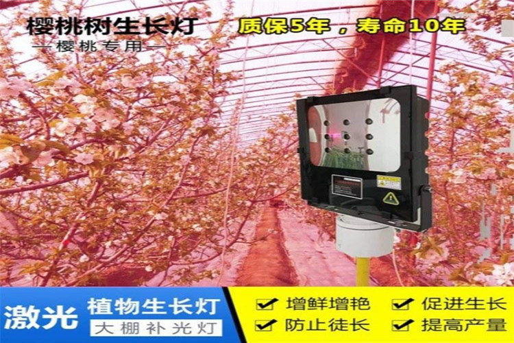 1610607641413482.jpg u=420751850,3828060269&fm=199&app=68&f=JPEG.jpg