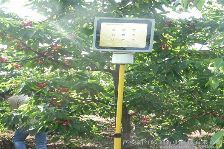 1610607659705140.jpg u=2752036533,831143671&fm=199&app=68&f=JPEG.jpg