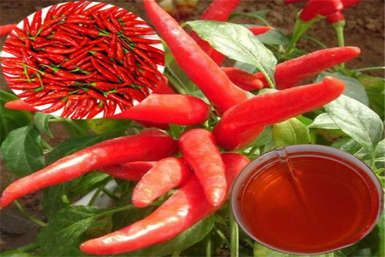 1610690808442455.jpg 4bed2e738bd4b31c2226cb3484d6277f9e2ff823_副本_副本.jpg