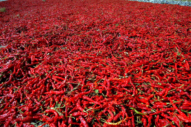 1610691860920445.png f7246b600c33874487aacef35b0fd9f9d62aa0d6_副本.png