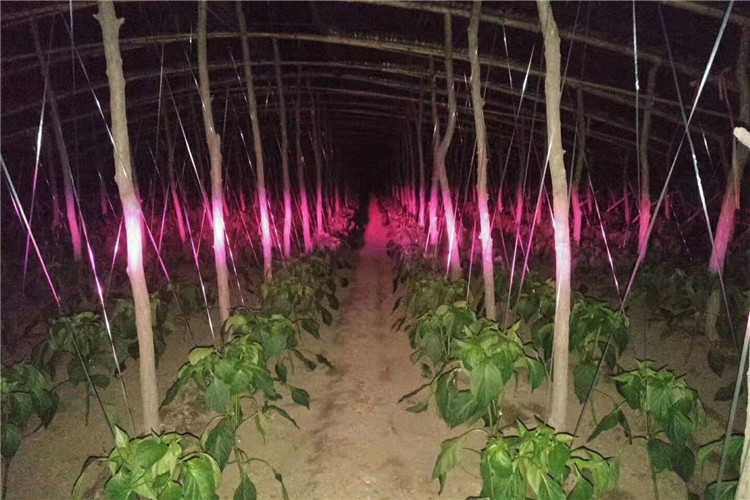 1610691874725412.jpg 微信图片_20210115141146_副本.jpg