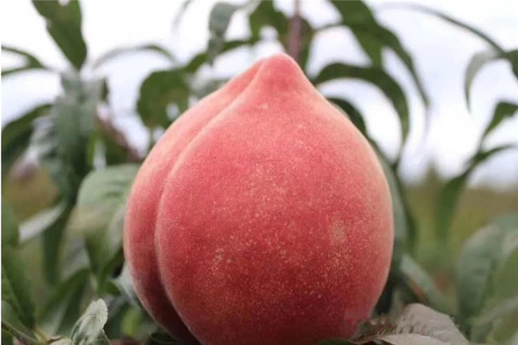 1611038124616518.jpg 微信图片_20210119142711_副本.jpg