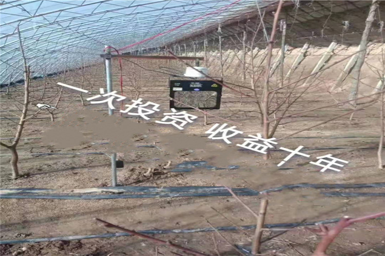 1611038567347149.jpg 微信图片_20210119143702.jpg