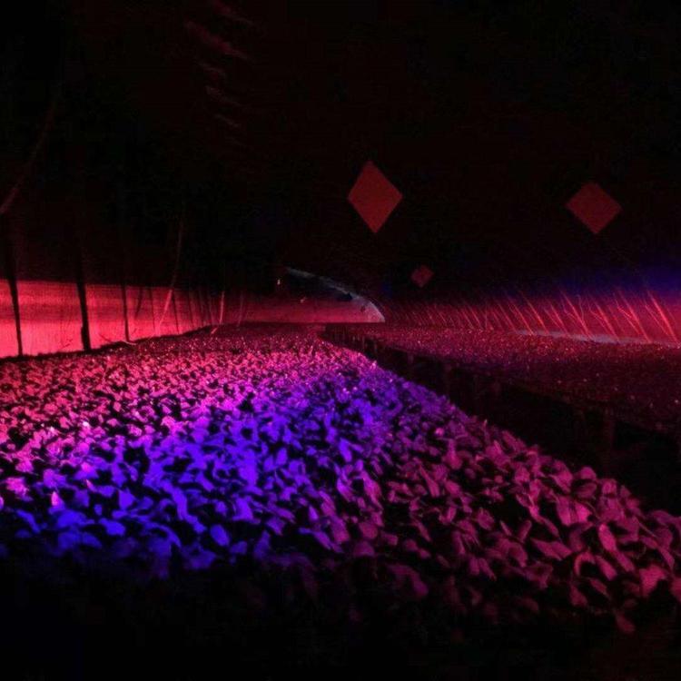 1612337307888678.jpg 1612337307888678.jpg