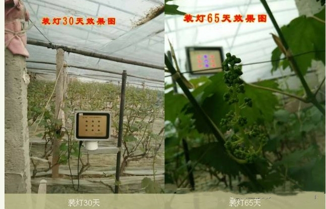 1612337737506492.jpg 微信图片_20210203153350.jpg