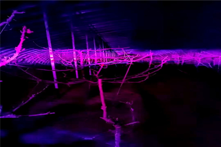 1612599390993604.jpg a85d838d4eefec7e7ffc48ce8f2d1da.jpg