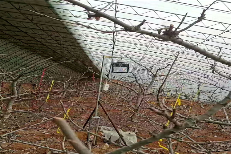 1612599412831687.jpg 85142dedad765e6eee7540ce1f5ecd0.jpg