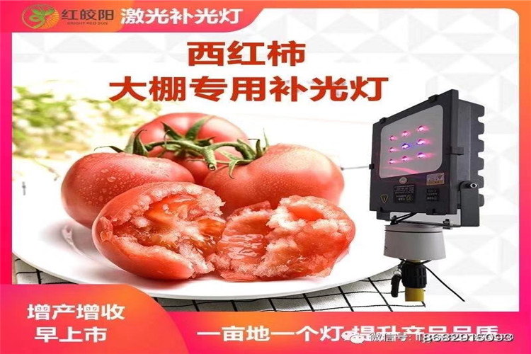 1612599432273608.jpg 微信图片_20210115145755.jpg