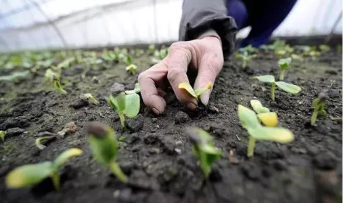 1613974781494234.jpg 1613974781494234.jpg