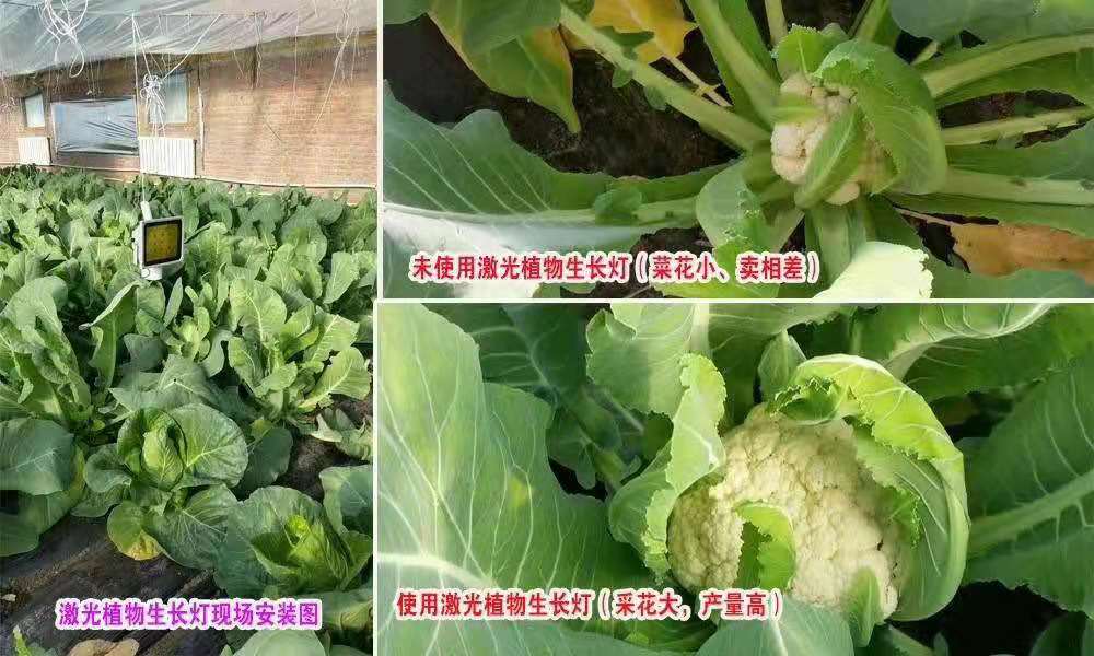 1613975062423712.jpg 1613975062423712.jpg