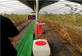 1613975113214126.jpg 1613975113214126.jpg