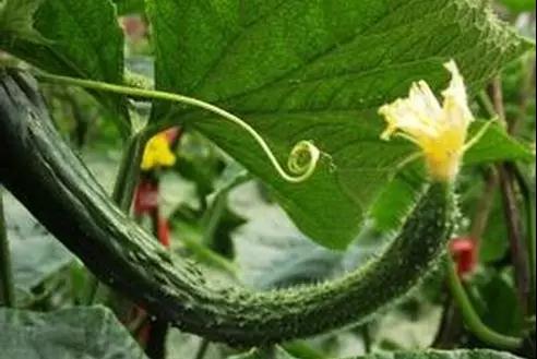 1615186073106483.jpg 1615186073106483.jpg