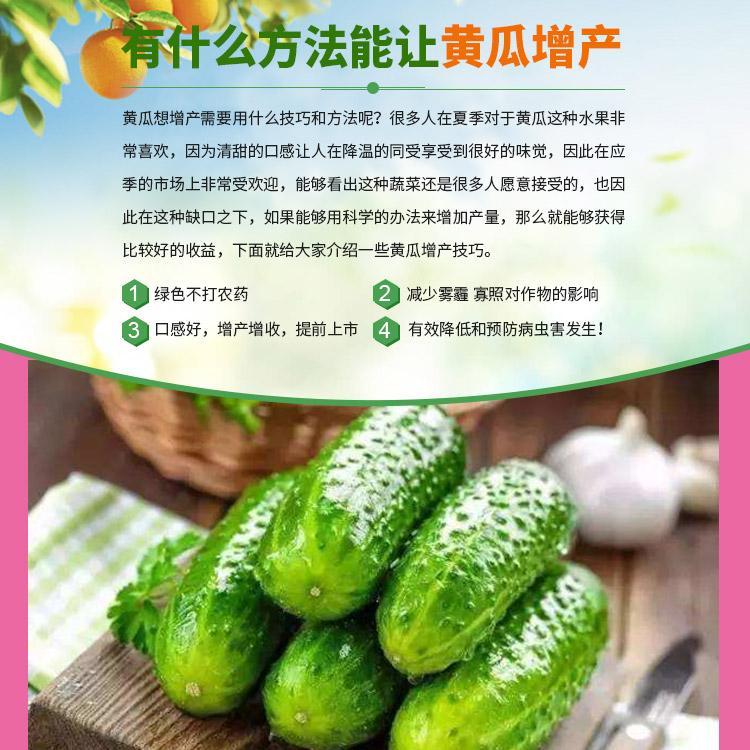 1615187364177684.jpg 1615187364177684.jpg