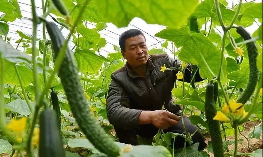 1615274013927635.jpg 1615274013927635.jpg