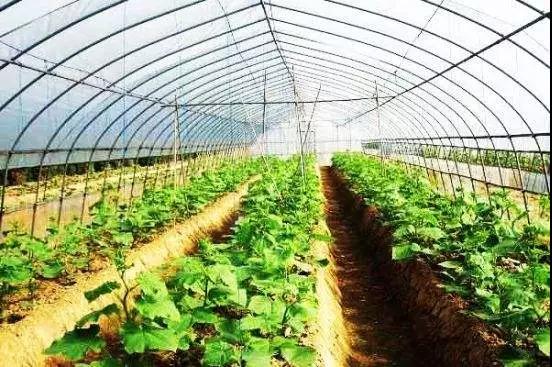 1615274319907424.jpg 1615274319907424.jpg