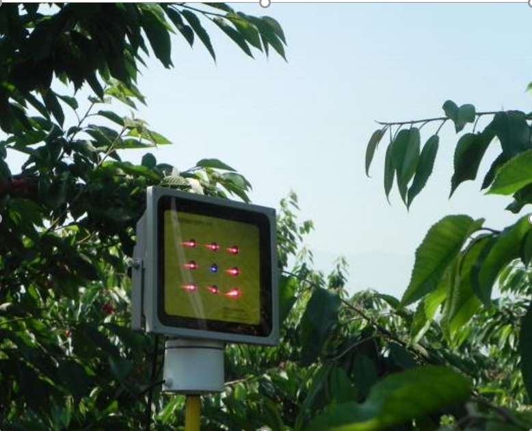 1628590666126143.png QQ截图20210810181736.png