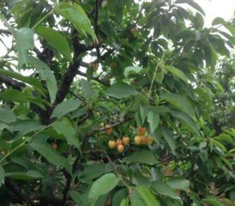 1628590698186455.png QQ截图20210810181803.png