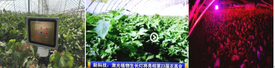 1628590957936596.png QQ截图20210810182217.png