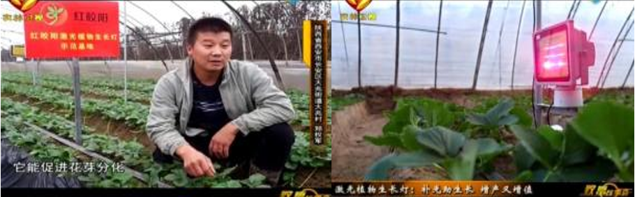 1628590999354930.png QQ截图20210810182256.png