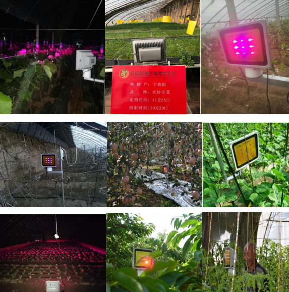 1628591038732183.png QQ截图20210810182347.png