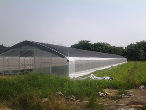 1628677704905033.png QQ截图20210811182753.png