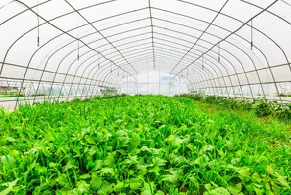 1628677745789382.png QQ截图20210811182854.png