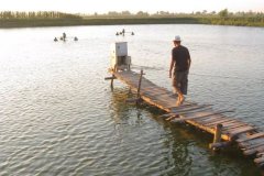 鱼塘驱鸟最有效的方法