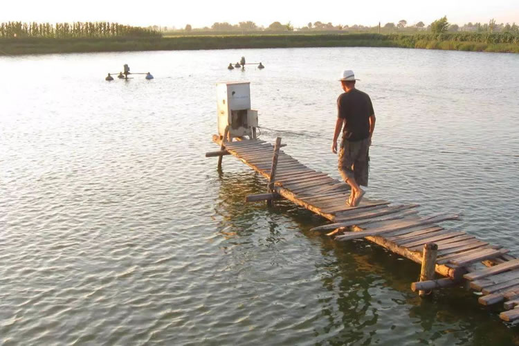 600542ec046b2.jpg 01.jpg