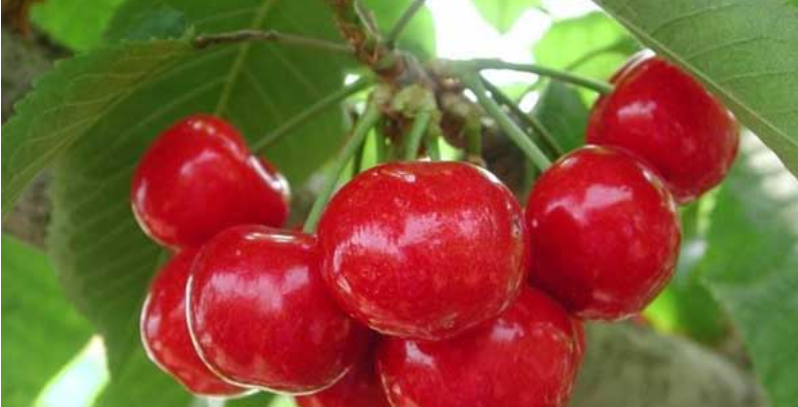 1651126743404955.png image.png