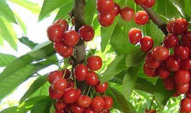 1651126767894501.png image.png