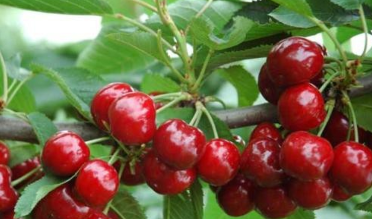 626b5797ad114.png image.png