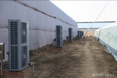 <b>山东老兵投资600万种6年樱桃遭受3年疫情，专注特级果品</b>