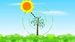 <b>植物光合作用的重要性，植物如何快速生长</b>