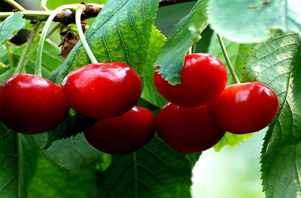 1652412455718852.png image.png