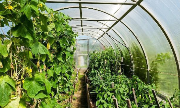 62982daa96c8a.png image.png