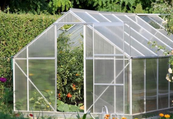 62982dbe8f166.png image.png