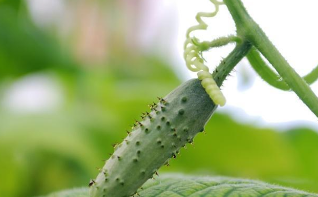 62982dd166f96.png image.png