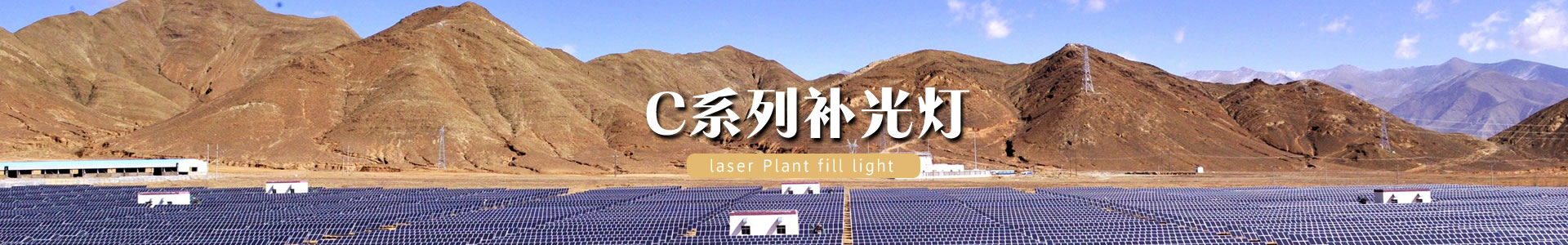 激光植物生长灯_蔬菜大棚补光灯_激光植物补光灯_植物补光灯_植物生长灯_大棚专用植物补光灯-红皎阳农业