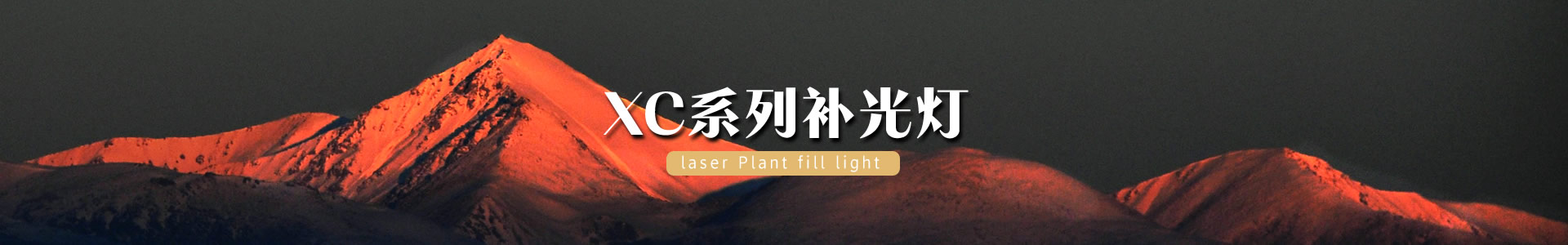 激光植物生长灯_蔬菜大棚补光灯_激光植物补光灯_植物补光灯_植物生长灯_大棚专用植物补光灯-红皎阳农业