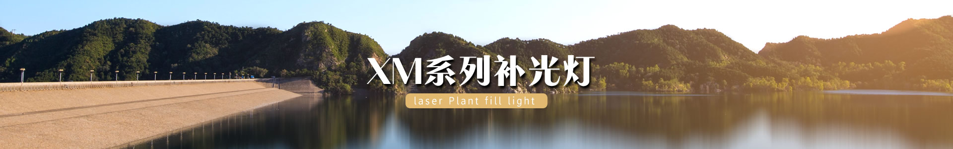 激光植物生长灯_蔬菜大棚补光灯_激光植物补光灯_植物补光灯_植物生长灯_大棚专用植物补光灯-红皎阳农业