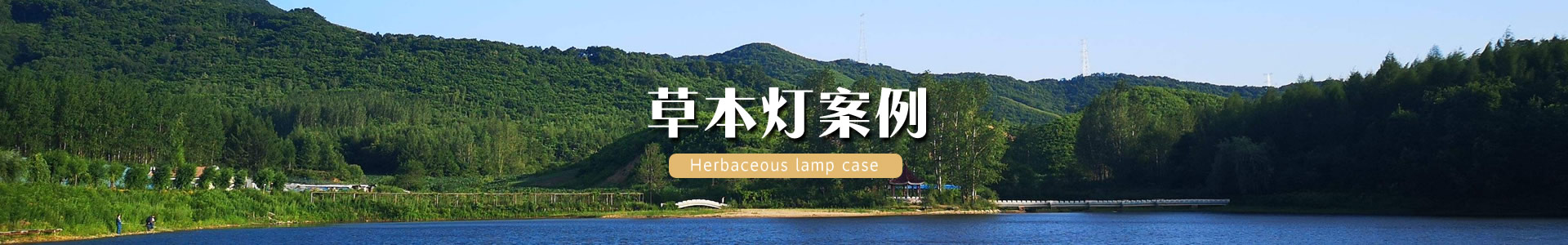 激光植物生长灯_蔬菜大棚补光灯_激光植物补光灯_植物补光灯_植物生长灯_大棚专用植物补光灯-红皎阳农业