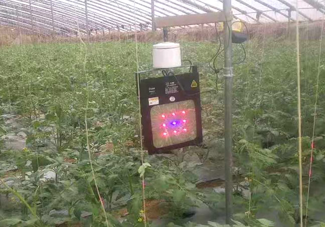 西瓜专用激光植物补光灯