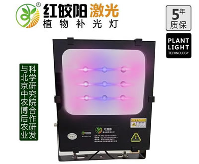 <b>XM20激光植物补光灯</b>