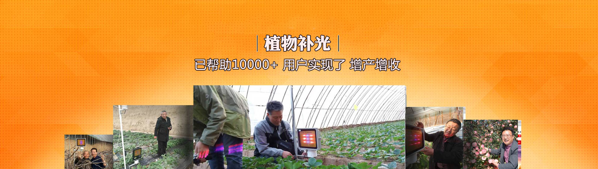 同凯20年专注植物补光