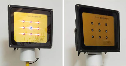 普通灯能给植物补光吗